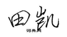 駱恆光田凱行書個性簽名怎么寫