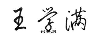 駱恆光王學滿行書個性簽名怎么寫