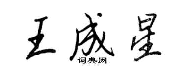 王正良王成星行書個性簽名怎么寫