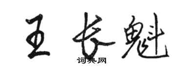 駱恆光王長魁行書個性簽名怎么寫