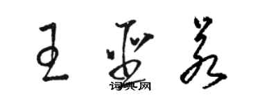 駱恆光王聖若草書個性簽名怎么寫