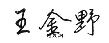 駱恆光王金野行書個性簽名怎么寫