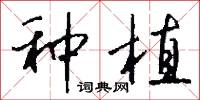 麪子的意思_麪子的解釋_國語詞典