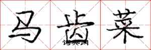 龐中華馬齒菜行書怎么寫