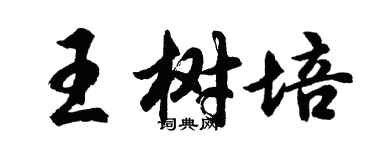 胡問遂王樹培行書個性簽名怎么寫