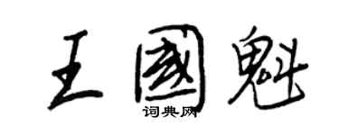 王正良王國魁行書個性簽名怎么寫