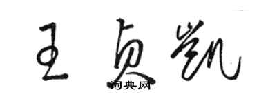 駱恆光王貞凱草書個性簽名怎么寫