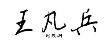 王正良王凡兵行書個性簽名怎么寫