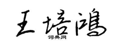 王正良王培鴻行書個性簽名怎么寫