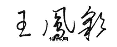 駱恆光王鳳彩草書個性簽名怎么寫