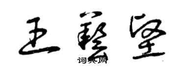 曾慶福王藝堅草書個性簽名怎么寫