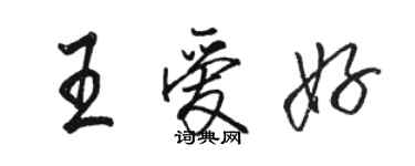 駱恆光王愛好行書個性簽名怎么寫