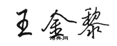駱恆光王金黎行書個性簽名怎么寫