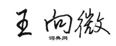 駱恆光王向微行書個性簽名怎么寫