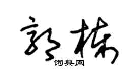 朱錫榮郭棟草書個性簽名怎么寫
