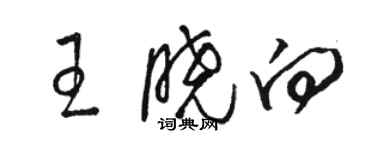 駱恆光王曉向草書個性簽名怎么寫