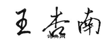 駱恆光王杏南行書個性簽名怎么寫