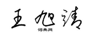 梁錦英王旭靖草書個性簽名怎么寫