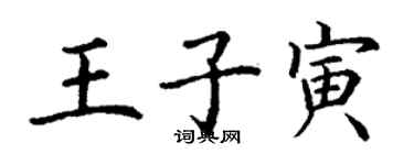 丁謙王子寅楷書個性簽名怎么寫