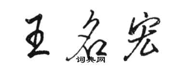 駱恆光王名宏行書個性簽名怎么寫