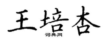 丁謙王培杏楷書個性簽名怎么寫