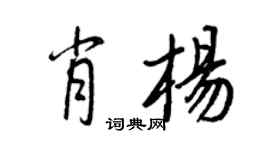 王正良肖楊行書個性簽名怎么寫