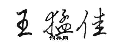 駱恆光王猛佳行書個性簽名怎么寫