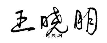 曾慶福王曉朋草書個性簽名怎么寫