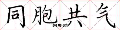 丁謙同胞共氣楷書怎么寫