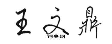 駱恆光王文鼎行書個性簽名怎么寫