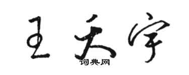 駱恆光王夭宇草書個性簽名怎么寫
