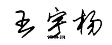 朱錫榮王宇楊草書個性簽名怎么寫
