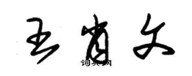 朱錫榮王肖文草書個性簽名怎么寫