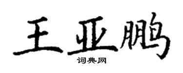 丁謙王亞鵬楷書個性簽名怎么寫