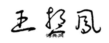 曾慶福王想鳳草書個性簽名怎么寫