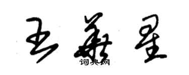 朱錫榮王華星草書個性簽名怎么寫
