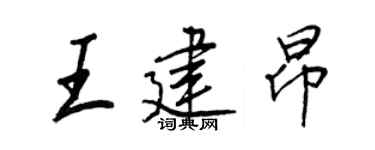 王正良王建昂行書個性簽名怎么寫
