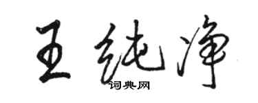 駱恆光王純淨行書個性簽名怎么寫