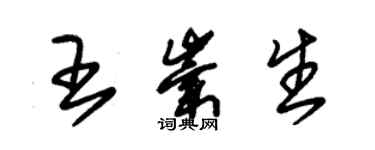 朱錫榮王崇生草書個性簽名怎么寫