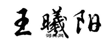 胡問遂王曦陽行書個性簽名怎么寫