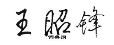 駱恆光王昭鋒行書個性簽名怎么寫