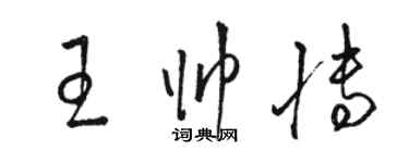 駱恆光王帥博草書個性簽名怎么寫