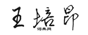 駱恆光王培昂行書個性簽名怎么寫