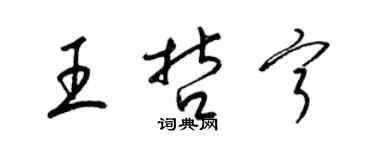 梁錦英王哲寧草書個性簽名怎么寫