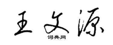 梁錦英王文源草書個性簽名怎么寫