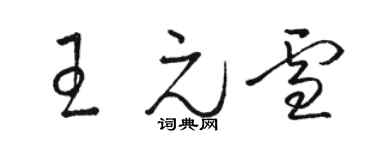 駱恆光王元雪草書個性簽名怎么寫