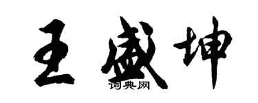 胡問遂王盛坤行書個性簽名怎么寫