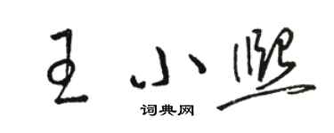 駱恆光王小熙草書個性簽名怎么寫