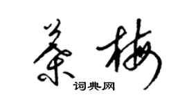 梁錦英葉梅草書個性簽名怎么寫