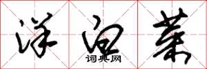 朱錫榮洋白菜草書怎么寫